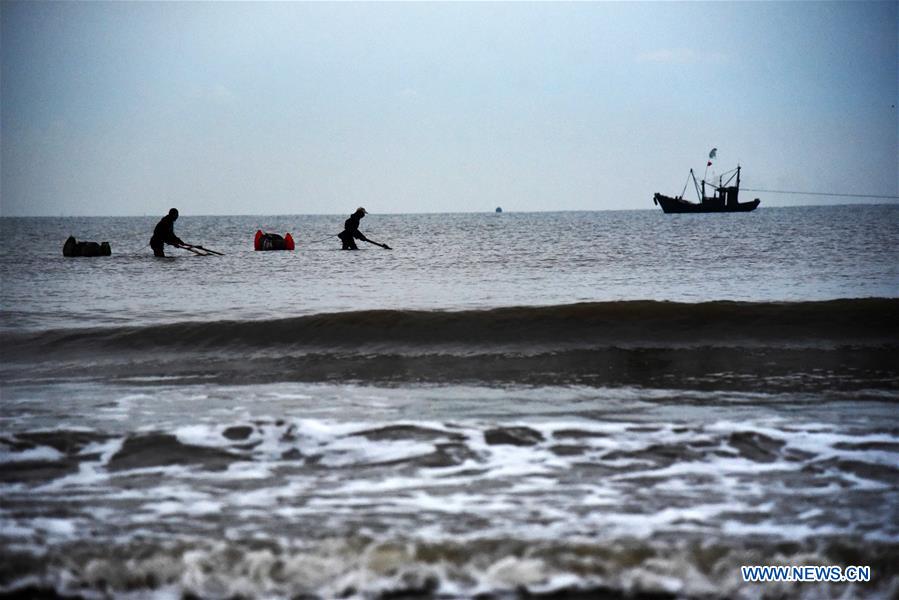 CHINA-SHANDONG-RIZHAO-SHRIMP HARVEST (CN)