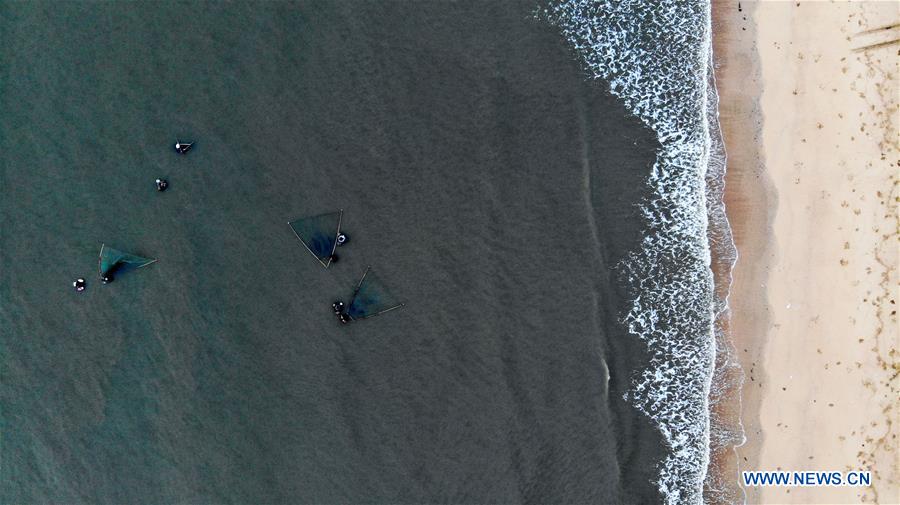 CHINA-SHANDONG-RIZHAO-SHRIMP HARVEST (CN)