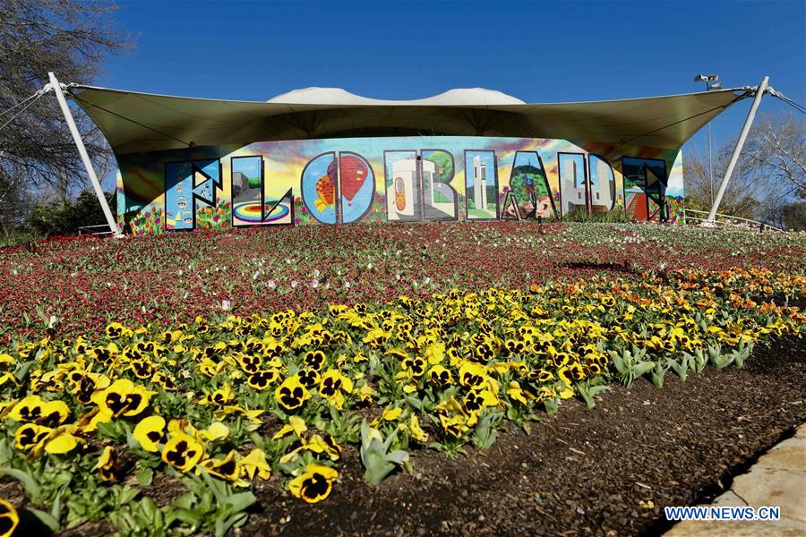 AUSTRALIA-CANBERRA-FLORIADE