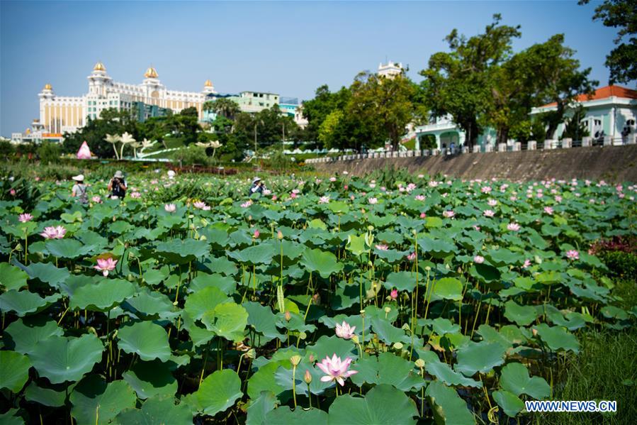 (EcoChina)CHINA-HORTICULTURAL EXPO-MACAO (CN)