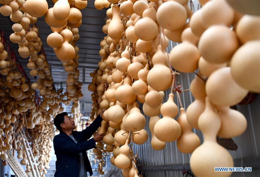 CHINA-SHANDONG-GOURD-PYROGRAPHY (CN)