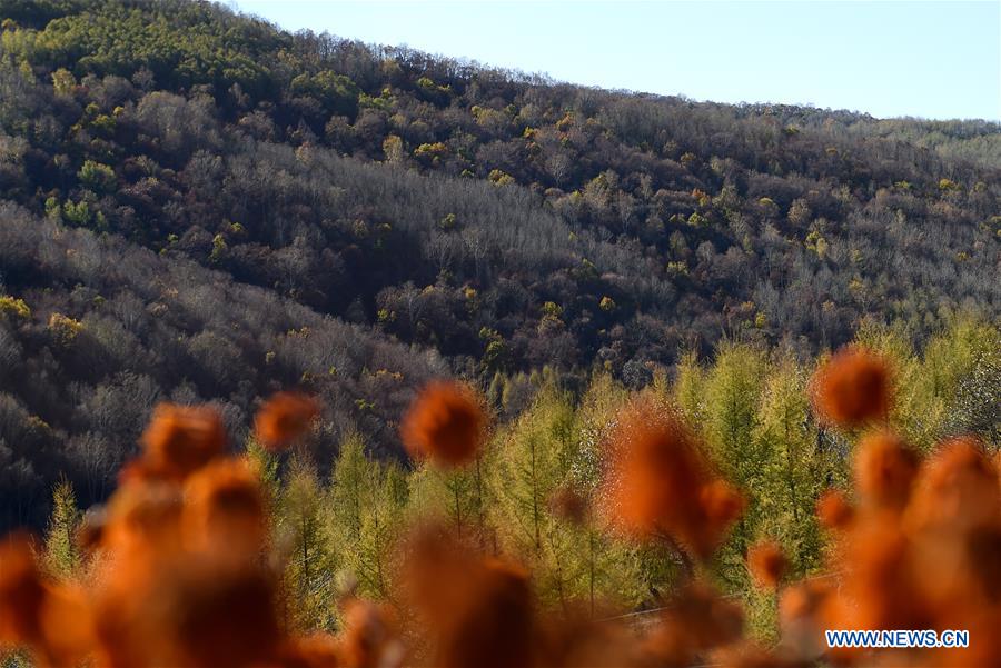 CHINA-INNER MONGOLIA-CHIFENG-SCENERY (CN)