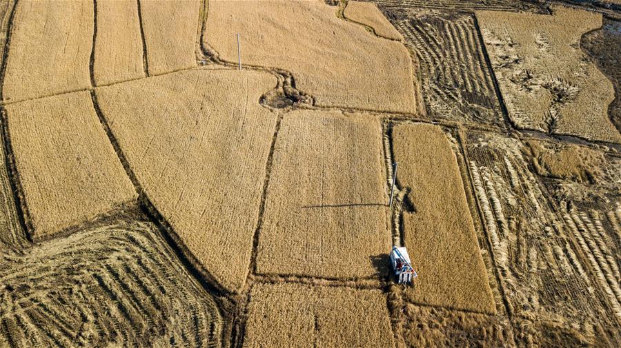 CHINA-JILIN-AUTUMN HARVEST (CN)