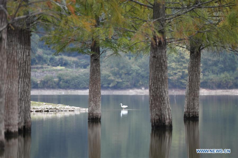 CHINA-ANHUI-YIXIAN-AUTUMN SCENERY (CN)