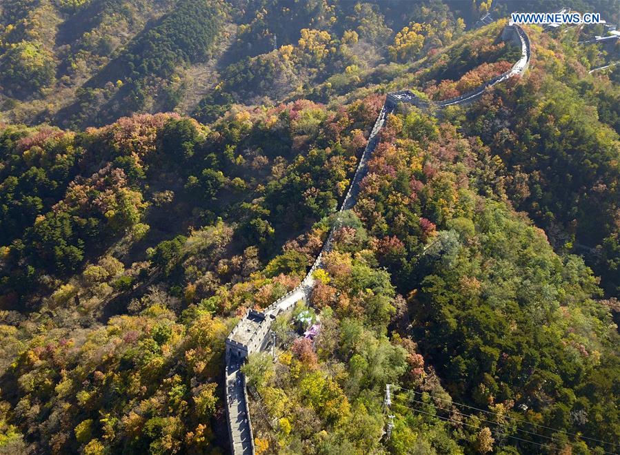 CHINA-BEIJING-GREAT WALL-AUTUMN SCENERY (CN)