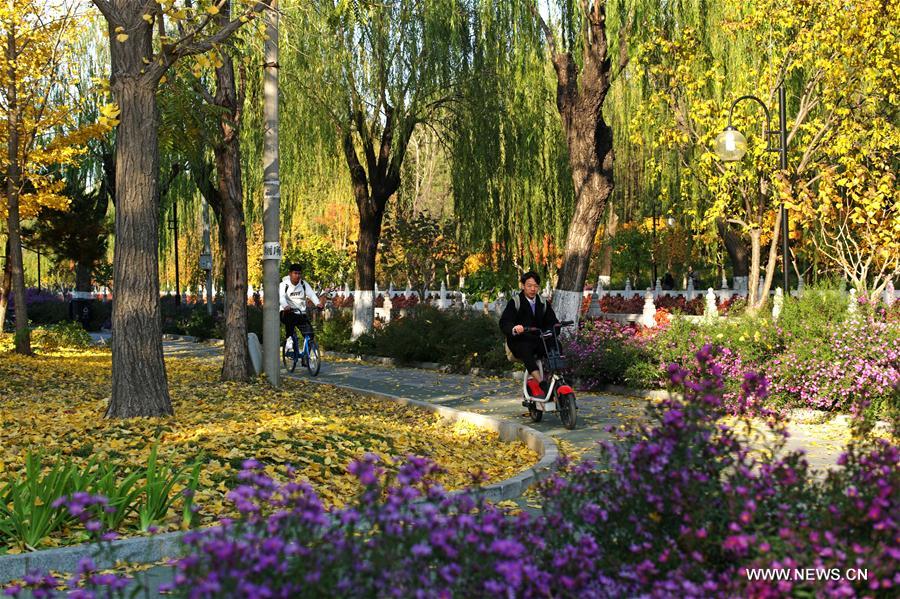 CHINA-BEIJING-TSINGHUA UNIVERSITY-AUTUMN SCENERY (CN)