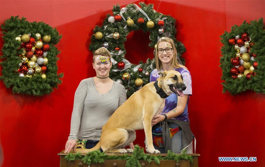 CANADA-TORONTO-CHRISTMAS PET SHOW