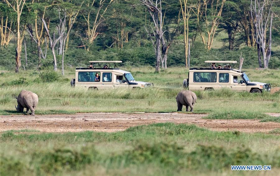 KENYA-LAKE NAKURU NATIONAL PARK-NEW YEAR HOLIDAY