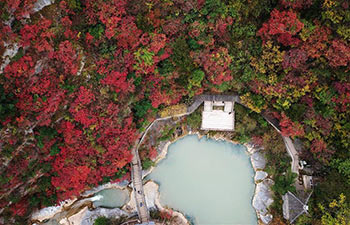 Autumn scenery of Xixiasong scenic area in China's Gansu