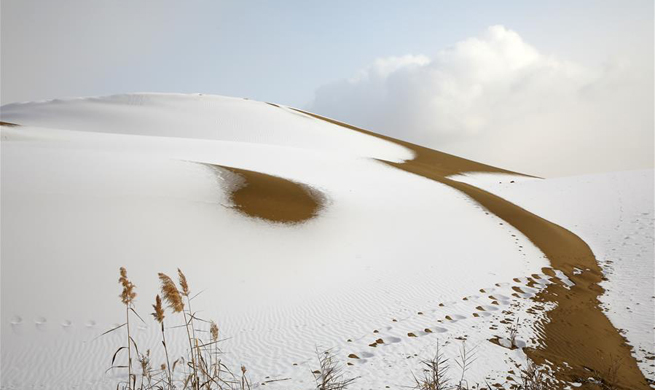 Snow falls on Taklimakan Desert in NW China's Xinjiang