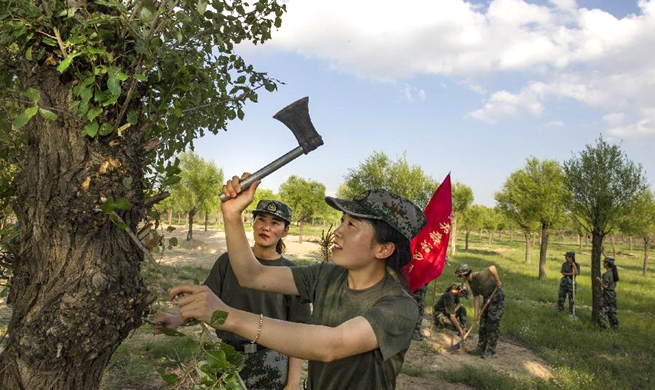 Environment protection measures taken in Yulin City to curb desert expansion