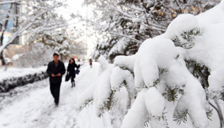 Hohhot greets a snowfall