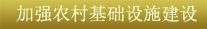 關(guān)鍵字4：加強農(nóng)村基礎(chǔ)設(shè)施建設(shè)