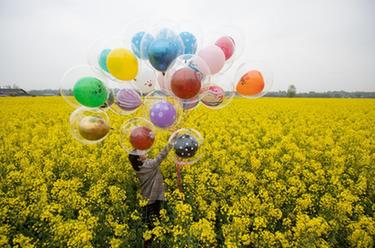 鄉村振興花為媒