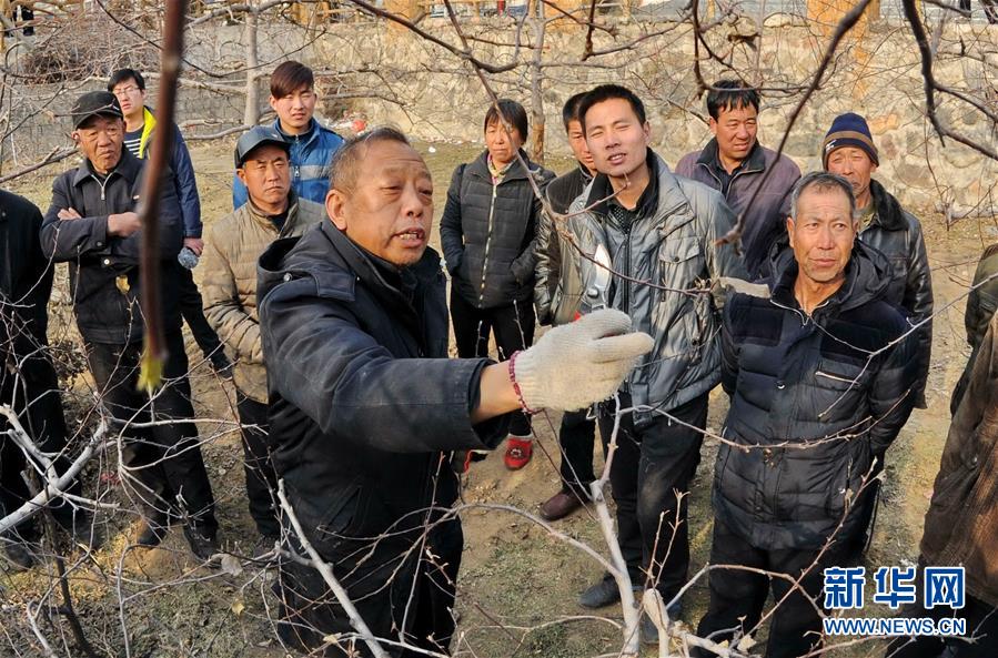 （新華全媒頭條·十九大特別報道·圖文互動）（7）再塑黨的形象的偉大工程——中國共產黨自身建設的五年探索之路