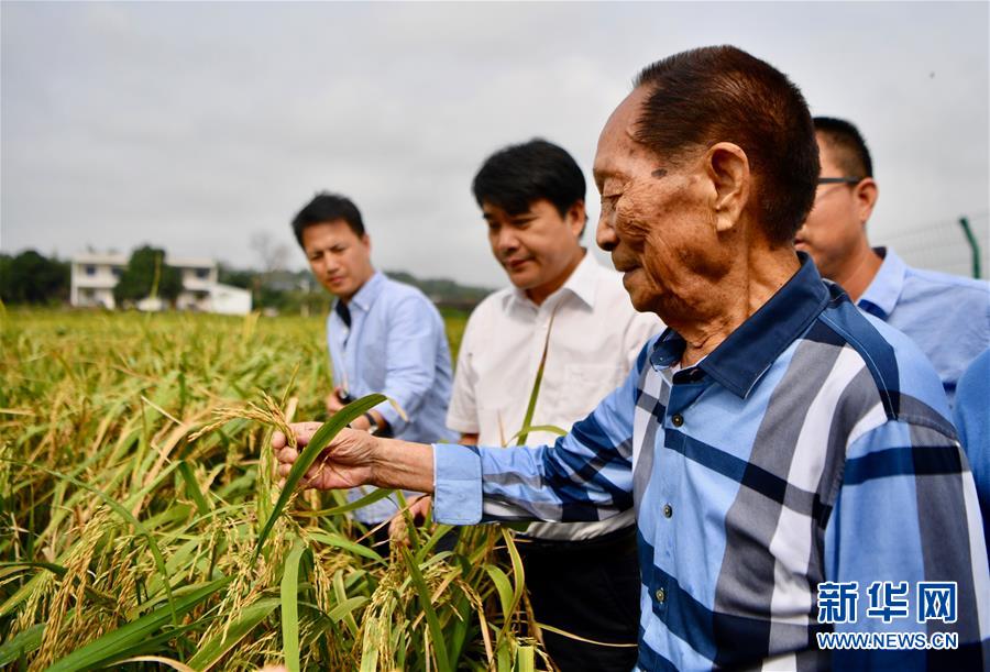 （新華視點(diǎn)·圖文互動(dòng)）（2）國家科技獎(jiǎng)3項(xiàng)授予“水稻科學(xué)家”，預(yù)示百姓飯碗將發(fā)生哪些革命？