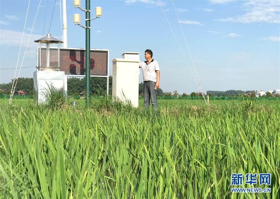 （新華全媒頭條·紀念改革開放40年特稿·圖文互動）（6）向著新航程揚帆奮進！——從小崗精神看中國改革開放40年