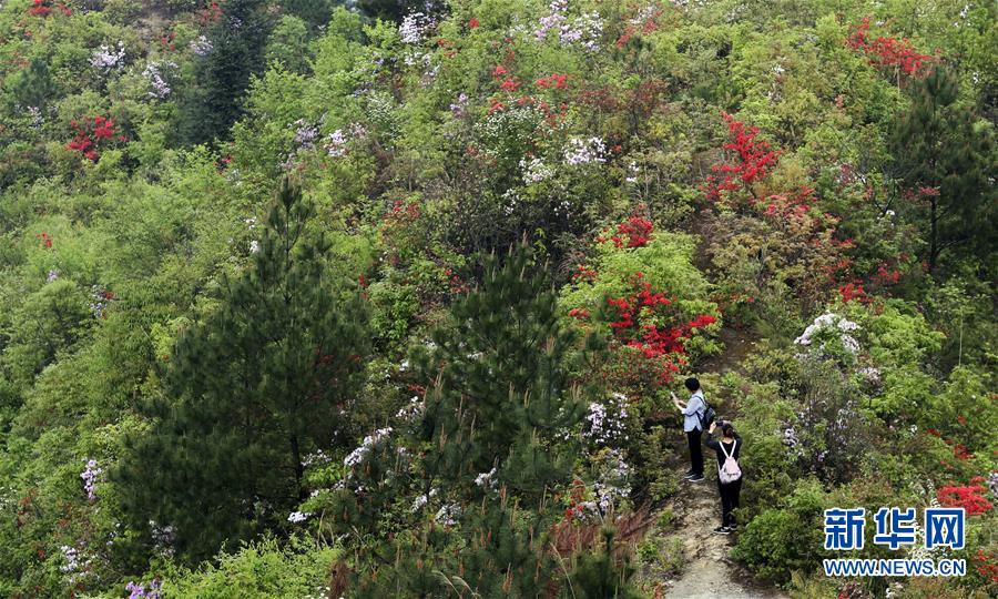 #（環境）（1）花開在四月