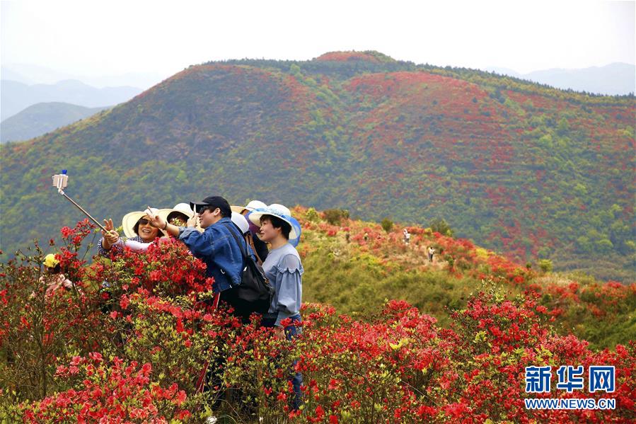 #（環境）（3）花開在四月