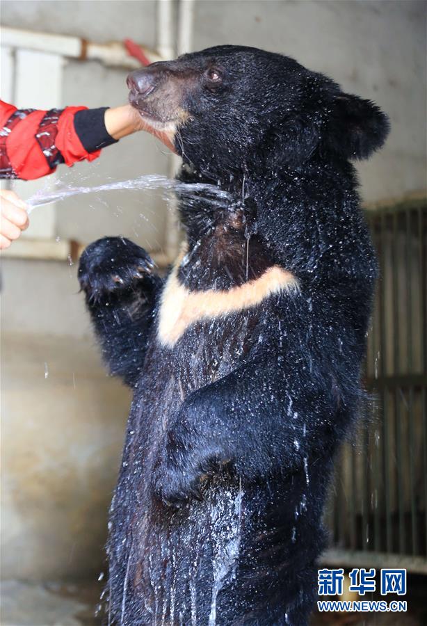 #（環境）（5）動物避暑有妙招