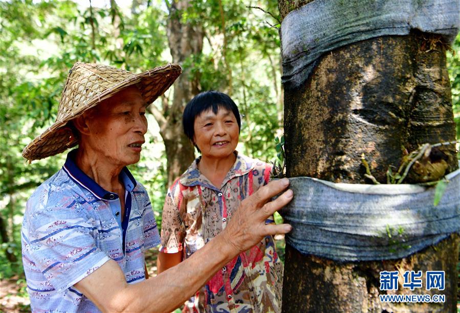 （新華全媒頭條·壯闊歷程40年系列述評(píng)·圖文互動(dòng)）（2）風(fēng)雨砥礪 壯麗史詩(shī)——從改革開放40年看中國(guó)奇跡