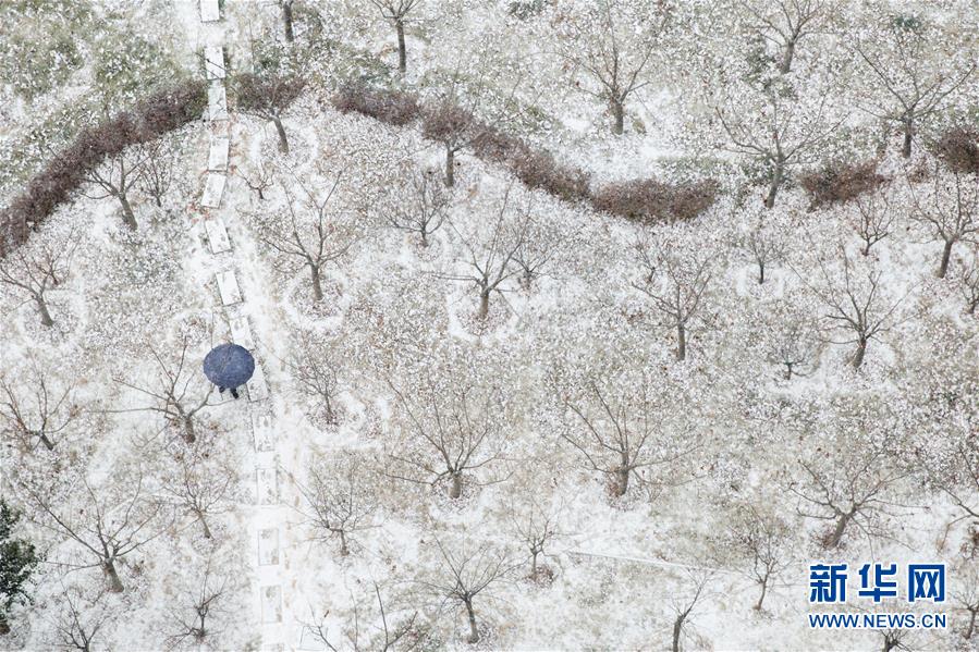 #（環境）（1）瑞雪迎新年