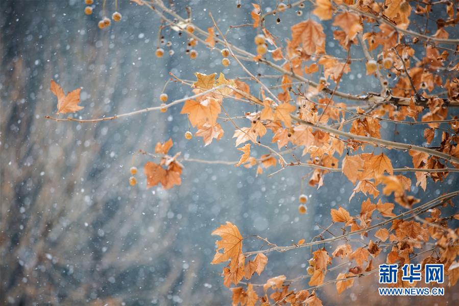 #（環境）（2）瑞雪迎新年