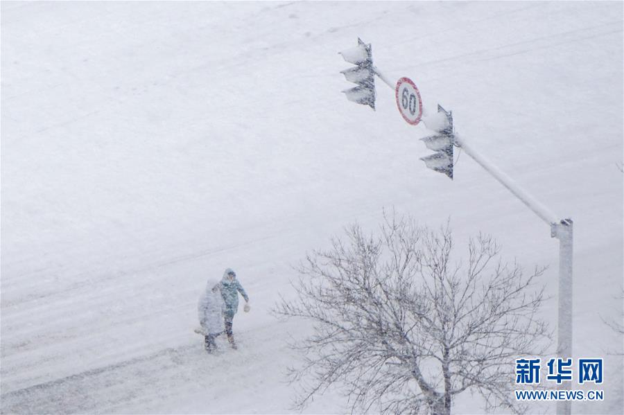 #（環境）（4）瑞雪迎新年