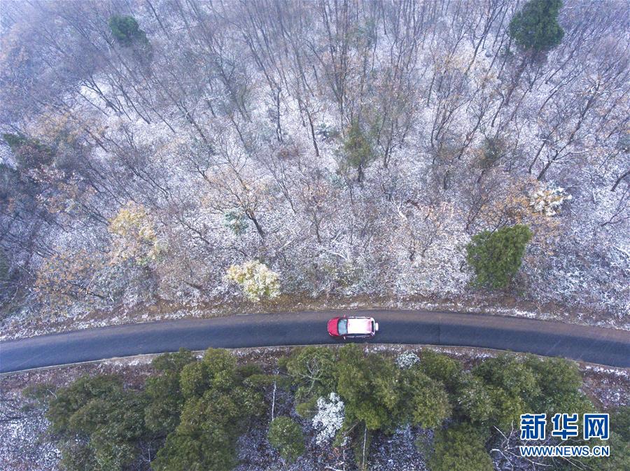 #（環境）（5）瑞雪迎新年