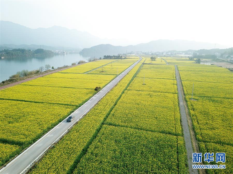 （新華全媒頭條·兩會精神看落實·圖文互動）（4）保持戰略定力 跨越重要關口——落實兩會精神加強生態文明建設述評