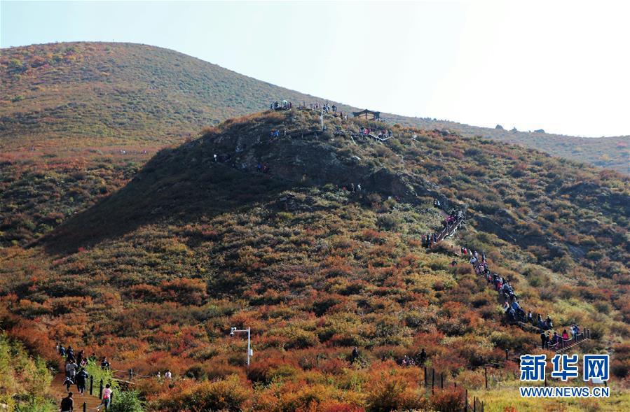 （城市綠道建設·圖文互動）（2）青城登山步道：踏遍青山享美景 生態綠道助脫貧