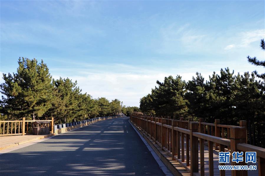 （城市綠道建設·圖文互動）（4）青城登山步道：踏遍青山享美景 生態綠道助脫貧