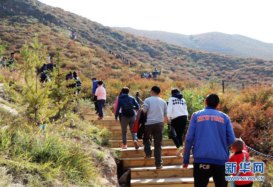 （城市綠道建設·圖文互動）（5）青城登山步道：踏遍青山享美景 生態綠道助脫貧