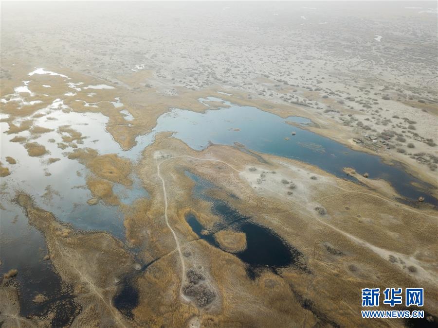 （圖文互動）（4）海子里的牧羊人見證中國最長內陸河生態變遷