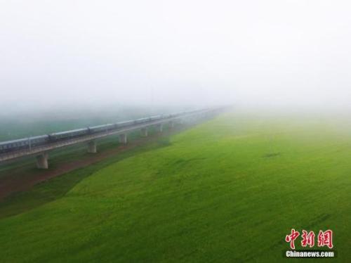 資料圖：動車組穿越雨霧中的油菜花海宛若穿越時空。 楊艷敏 攝