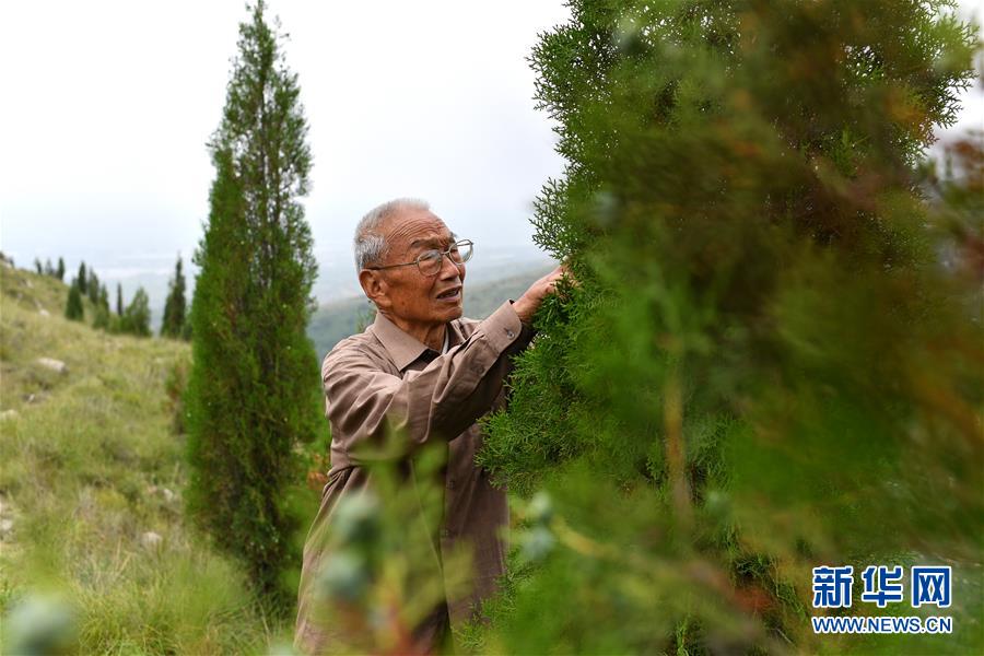 （在習近平新時代中國特色社會主義思想指引下——新時代新作為新篇章·圖文互動）（5）中條山下綠意濃——一個“資源窮縣”的生態(tài)發(fā)展之路