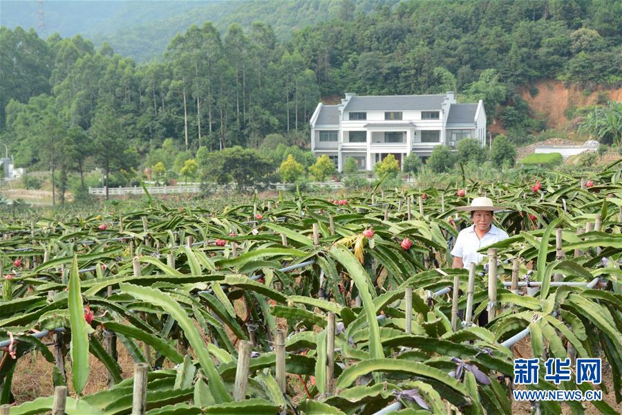 （在習近平新時代中國特色社會主義思想指引下——新時代新作為新篇章·總書記關心的百姓身邊事·圖文互動）（6）大污染變身“大寶藏”：治理畜禽糞污，他們這樣干！