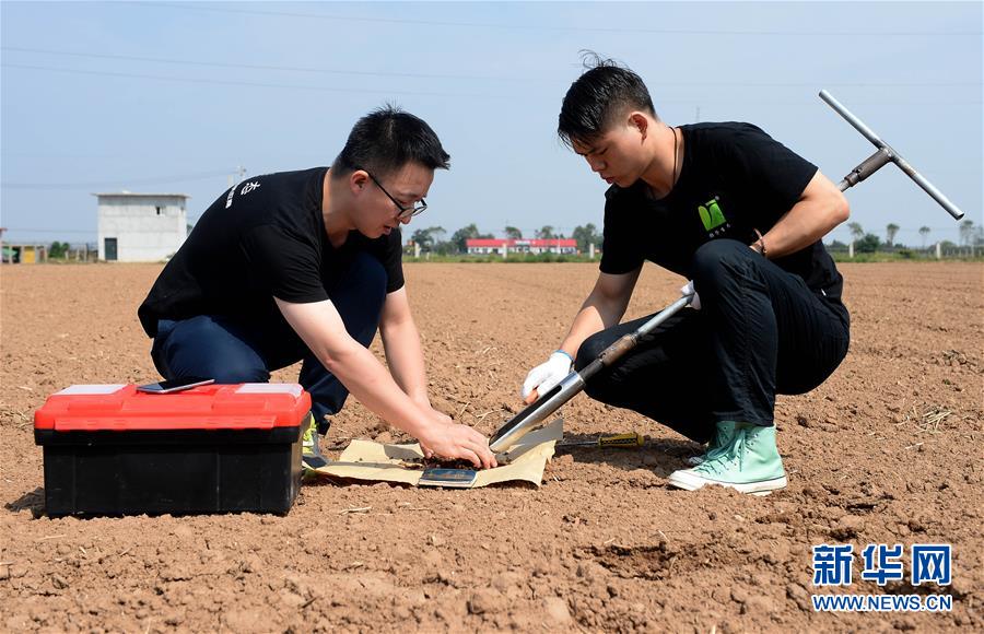 （在習近平新時代中國特色社會主義思想指引下——新時代新作為新篇章·總書記關心的百姓身邊事·圖文互動）（6）“農”字頭照樣“大”作為——豐收時節看涉農高校人才在希望的田野