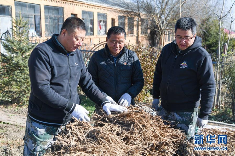 （在習近平新時代中國特色社會主義思想指引下——新時代新作為新篇章·總書記關心的百姓身邊事·圖文互動）（6）一本“村官”日記里的扶貧路——小故事里的大情懷之四