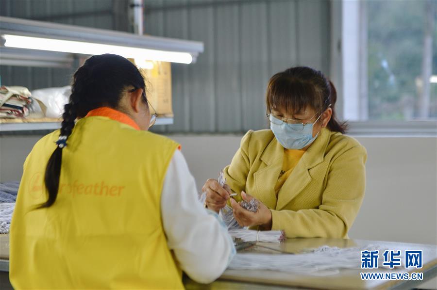 （圖文互動）（2）人回鄉、錢回流、企回遷——一個大石山區貧困縣的返鄉創業故事 