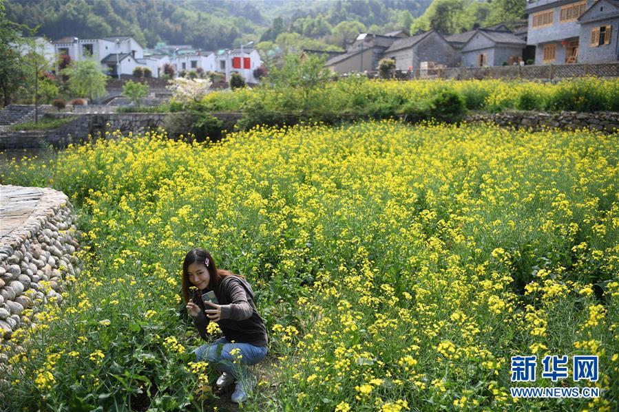 （新華全媒頭條·圖文互動）（10）紅土地上的“綠色減貧”決戰——大別山“將軍縣”金寨脫貧紀實