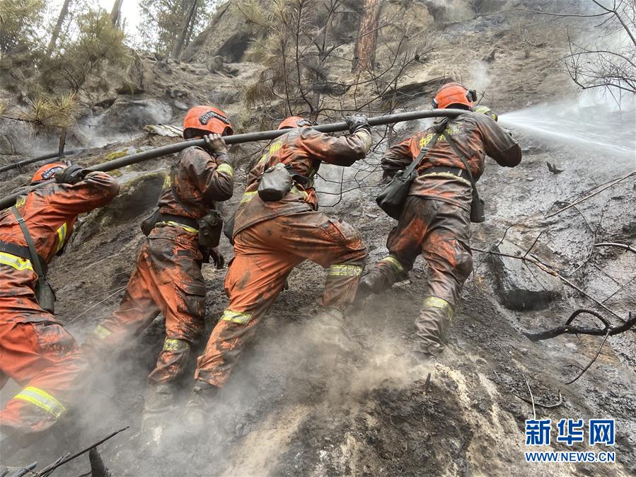 （圖文互動）（2）青春無悔，雪域林海我來守衛——一位西藏森林消防大隊長十八年的“高原情”