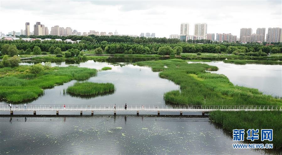 （走向我們的小康生活·圖文互動）（1）水清、地綠、空氣新——最北省份黑龍江繪就生態治理新畫卷