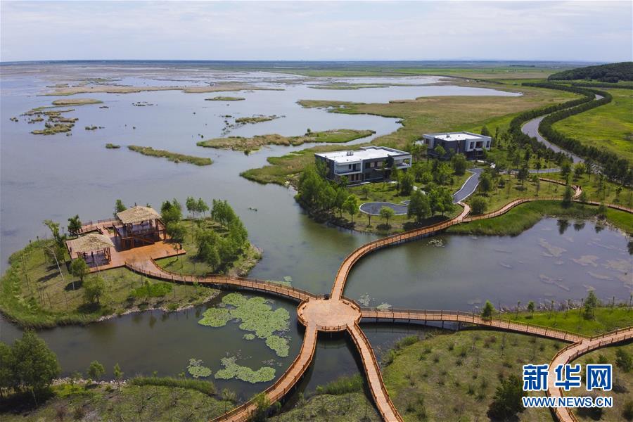 （走向我們的小康生活·圖文互動）（9）水清、地綠、空氣新——最北省份黑龍江繪就生態治理新畫卷