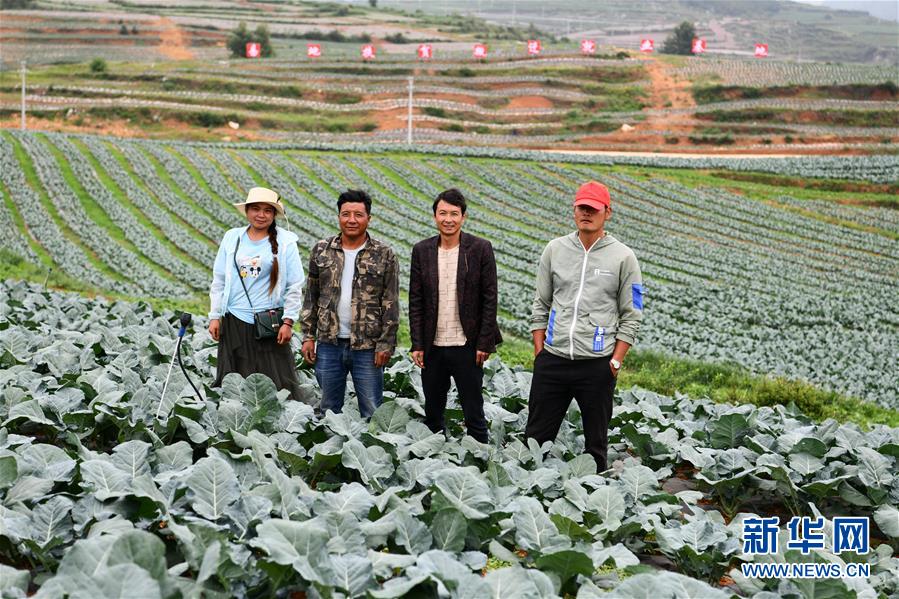 （新華全媒頭條·走向我們的小康生活·圖文互動）（9）三幅“圖鑒”說變遷——貴州“穿越時空”的脫貧印記