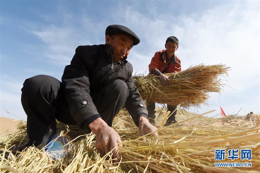 （在習(xí)近平新時(shí)代中國特色社會(huì)主義思想指引下——新時(shí)代新作為新篇章·習(xí)近平總書記關(guān)切事·圖文互動(dòng)）（5）綠色映底蘊(yùn)，山水見初心——生態(tài)優(yōu)先、綠色發(fā)展持續(xù)造福群眾美好生活