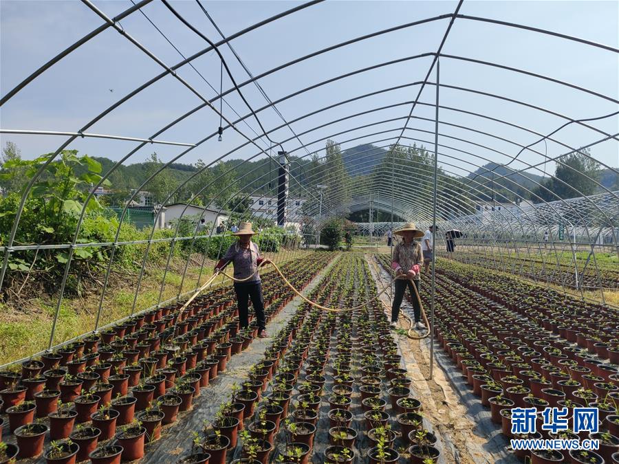 （決戰決勝脫貧攻堅·圖文互動）（3）安居樂業并重，搬遷脫貧同步——湖北88萬搬遷群眾脫貧觀察 