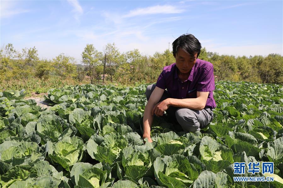 （走向我們的小康生活·圖文互動）（5）“荒涼”土地掘金記——甘肅旱作農業發展“變奏曲”