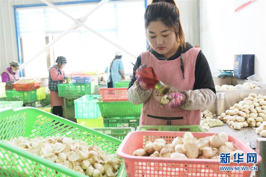 #（脫貧攻堅）（3）甘肅臨夏：東西協作助力脫貧攻堅