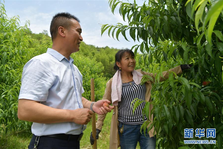 （新華全媒頭條·圖文互動）（4）幕阜山“搬窮”記